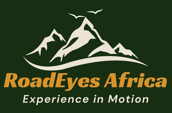 roadeyes-africa-logo